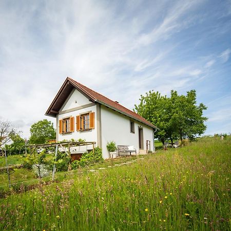 Edlitz im BurgenlandWeinlofts Weinloft I别墅 外观 照片