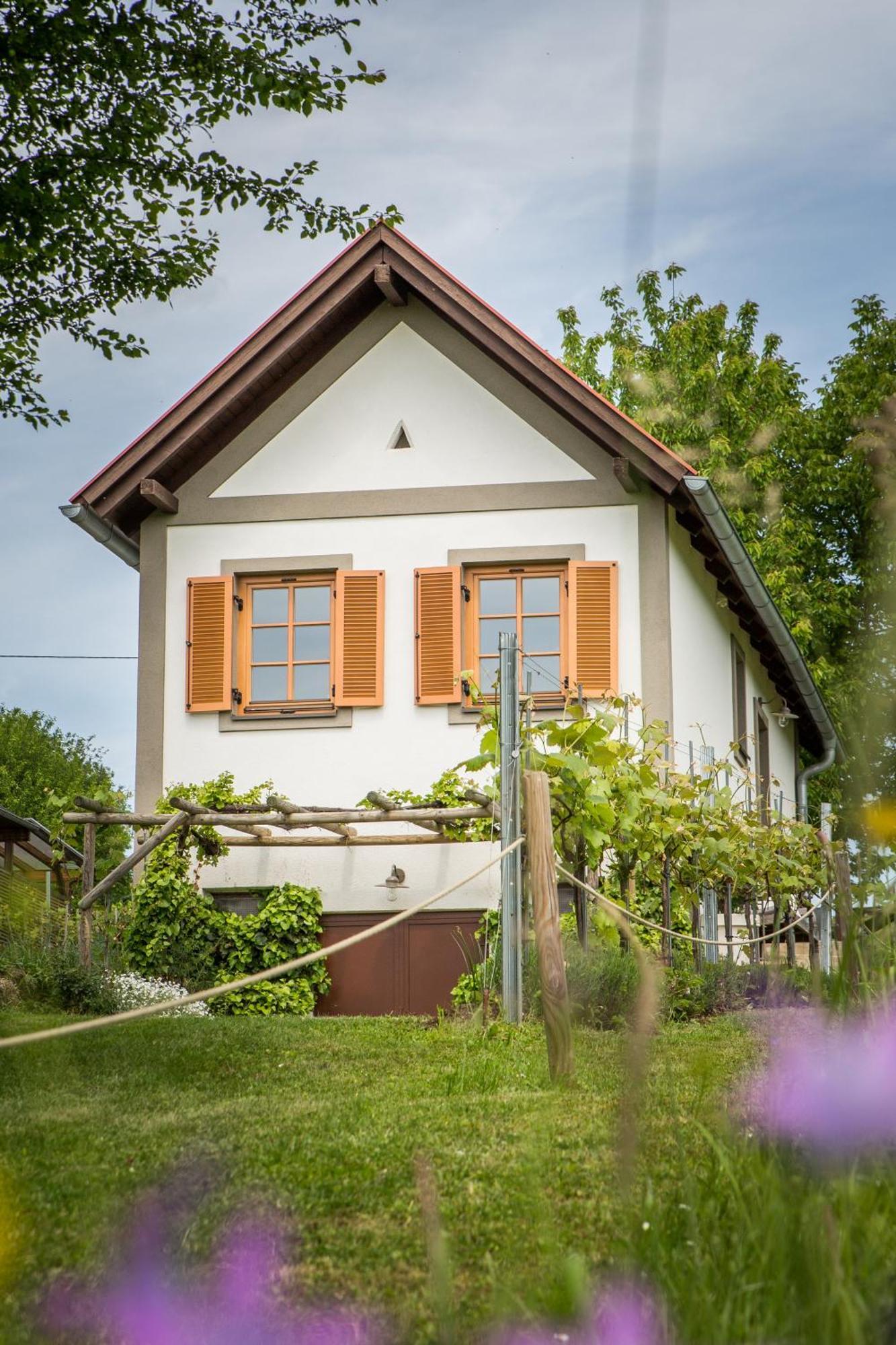 Edlitz im BurgenlandWeinlofts Weinloft I别墅 外观 照片