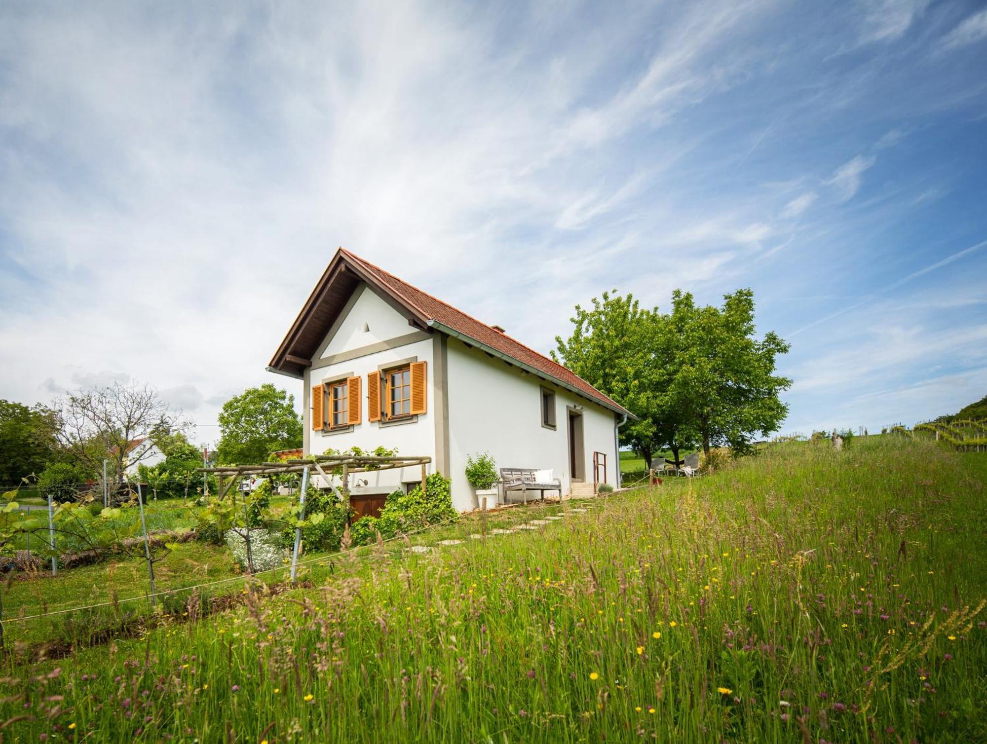 Edlitz im BurgenlandWeinlofts Weinloft I别墅 外观 照片